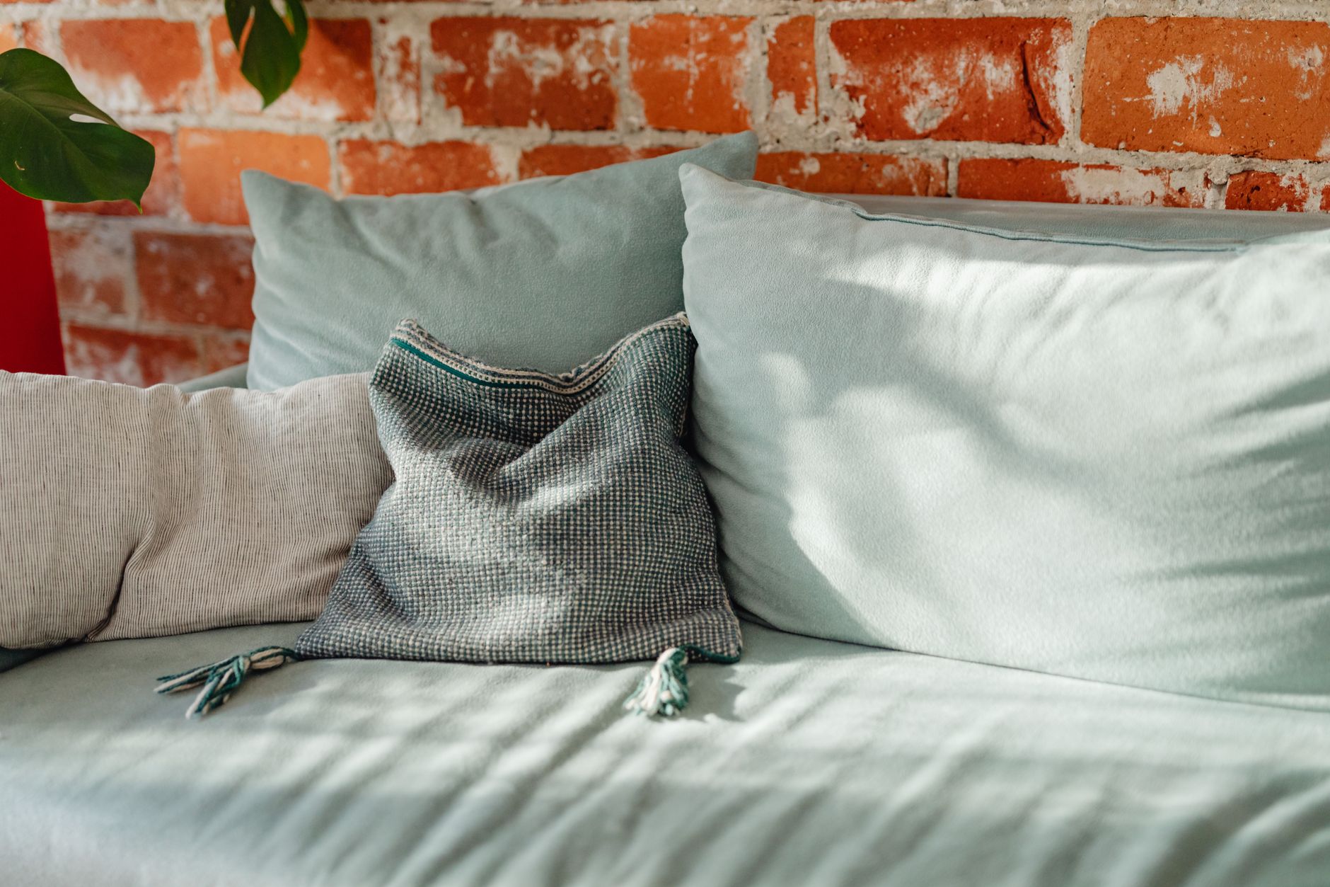 tissu moisi maison