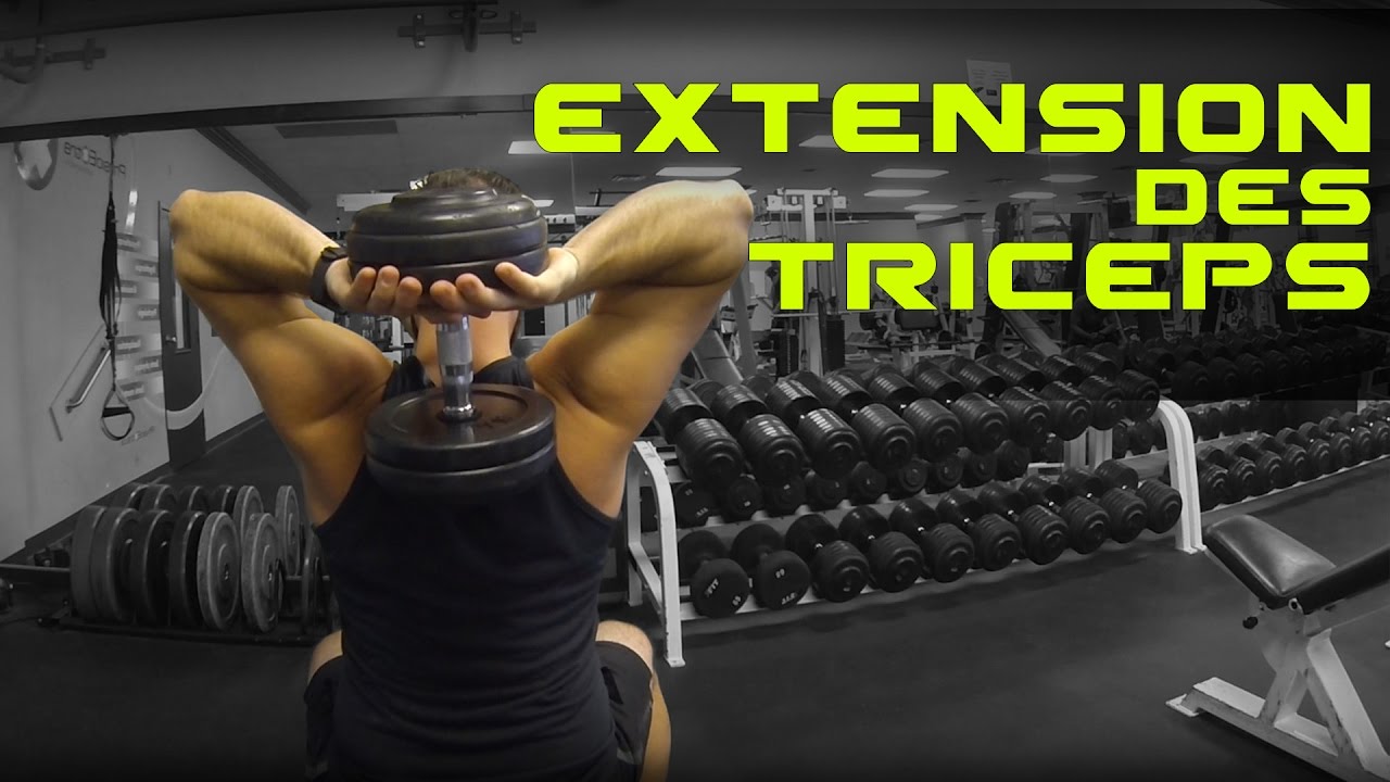 Pratiquant réalisant des extensions triceps au-dessus de la tête avec un haltère